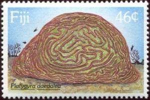 Colnect-3262-524-Brain-Coral-Platygyra-daedalea.jpg