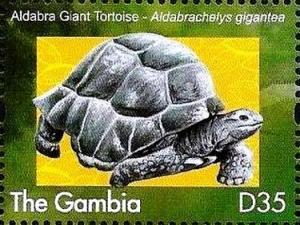 Colnect-3532-061-Aldabra-Giant-Tortoise-Aldabrachelys-gigantea.jpg