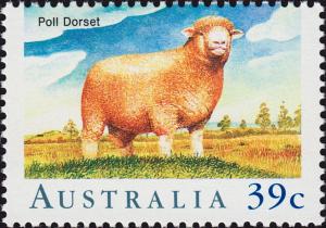 Colnect-3577-157-Poll-Dorset-Ovis-ammon-aries.jpg