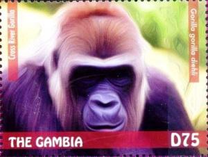 Colnect-3611-901-Cross-River-Gorilla-Gorilla-gorilla-diehli.jpg