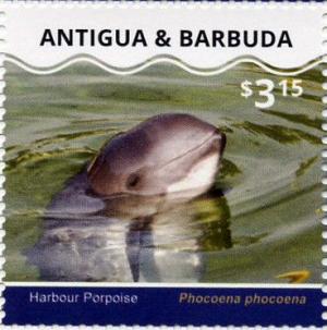 Colnect-3674-891-Harbour-Porpoise-Phocaena-phocaena.jpg