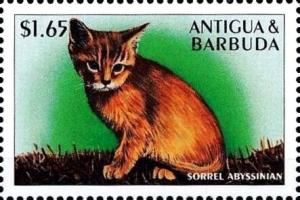 Colnect-4127-071-Sorrel-abyssinian.jpg