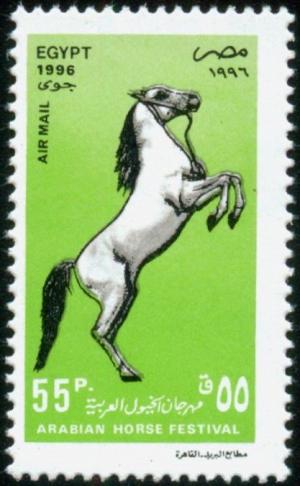 Colnect-4465-164-Arabian-Horse-Equus-ferus-caballus.jpg