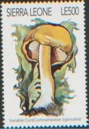 Colnect-4482-600-Cortinarius-varius.jpg