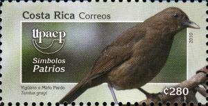 Colnect-4507-787-Clay-colored-Trush-Turdus-grayi.jpg