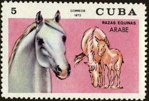 Colnect-4828-600-Arabian-Horse-Equus-ferus-caballus.jpg