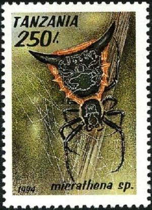 Colnect-5546-514-Woodland-Orb-Weaver-Micrathena-sp.jpg