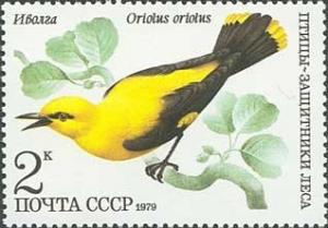 Colnect-590-152-Golden-Oriole-Oriolus-oriolus.jpg