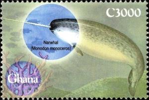 Colnect-5993-636-Narwhal-Unicorn-Whale-Monodon-monoceras.jpg