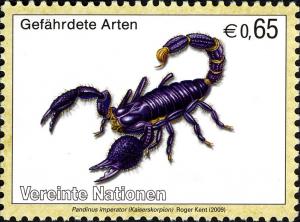 Colnect-611-532-Emperor-Scorpion-Pandinus-imperator.jpg