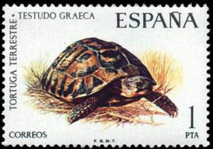 Colnect-647-461-Greek-Tortoise-Testudo-graeca.jpg