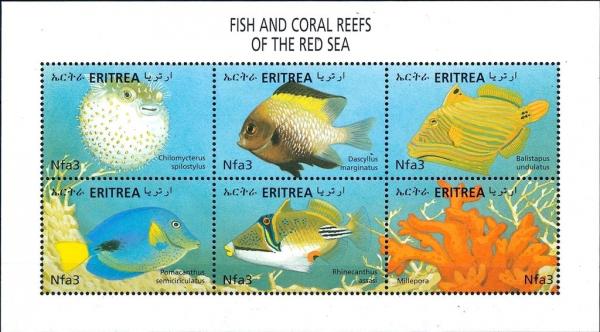 Colnect-3532-093-Fish-and-Coral-Reefs-of-the-Red-Sea.jpg