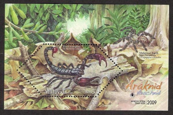 Colnect-4456-992-Asian-Forest-Scorpion-Heterometrus-longimanus.jpg