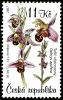 Colnect-3764-558-Wasp-Orchid-Ophrys-apifera.jpg