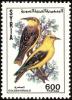 Colnect-1650-757-Golden-Oriole-Oriolus-oriolus.jpg