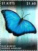 Colnect-3483-475-Blue-Morpho-Morpho-menelaus.jpg