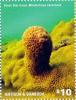 Colnect-3013-007-Great-Star-Coral-Montastraea-cavernosa-.jpg