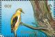 Colnect-1271-334-Golden-Oriole-Oriolus-oriolus.jpg