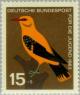 Colnect-152-439-Golden-Oriole-Oriolus-oriolus.jpg