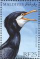 Colnect-1631-380-Great-Cormorant-Phalacrocorax-carbo.jpg