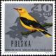 Colnect-2091-712-Golden-Oriole-Oriolus-oriolus.jpg