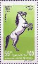 Colnect-3515-523-Arabian-Horse-Equus-ferus-caballus.jpg