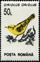 Colnect-4900-199-Golden-Oriole-Oriolus-oriolus.jpg