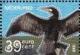 Colnect-830-893-Great-Cormorant-Phalacrocorax-carbo.jpg