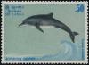 Colnect-1269-742-Common-Bottlenose-Dolphin-Tursiops-truncatus.jpg