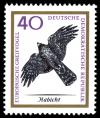 Colnect-1974-659-Northern-Goshawk-Accipiter-gentilis.jpg