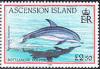 Colnect-2005-579-Common-Bottlenose-Dolphin-Tursiops-truncatus.jpg