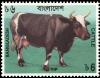 Colnect-3221-021-Cow-Bos-primigenius-taurus.jpg