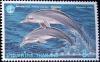 Colnect-3411-412-Common-Bottlenose-Dolphin-Tursiops-truncatus.jpg