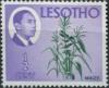 Colnect-3453-409-King-Moshoeshoe-II-and-corn.jpg