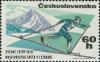 Colnect-418-614-Cross-country-skier.jpg