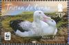 Colnect-4568-639-Tristan-Albatross-Diomedea-exulans-dabbenena.jpg