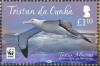 Colnect-4568-640-Tristan-Albatross-Diomedea-exulans-dabbenena.jpg