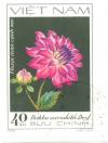 Colnect-4823-876-Rosa-Lotus-Dahlia.jpg