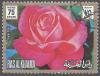 Colnect-4880-288-Rose---Super-Star.jpg