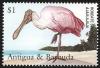 Colnect-5174-587-Roseate-spoonbill.jpg