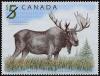 Colnect-577-086-Moose-Alces-alces-.jpg