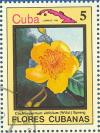 Colnect-674-913-Cochlospermum-vitifolium.jpg