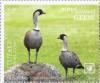 Colnect-7414-106-Nene-Goose-Branta-sandvicensis.jpg