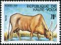 Colnect-2244-842-Zebu-Bos-primigenius-indicus.jpg