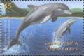 Colnect-3254-648-Common-Bottlenose-Dolphin-Tursiops-truncatus.jpg