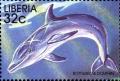 Colnect-3977-626-Common-Bottlenose-Dolphin-Tursiops-truncatus.jpg