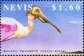 Colnect-4411-264-Roseate-spoonbill.jpg