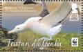 Colnect-4568-641-Tristan-Albatross-Diomedea-exulans-dabbenena.jpg