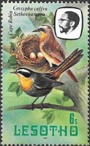 Colnect-3639-494-Cape-Robin-Cossypha-caffra-Sethoenamoru.jpg