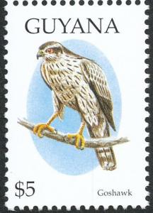 Colnect-3032-525-Northern-Goshawk-Accipiter-gentilis.jpg